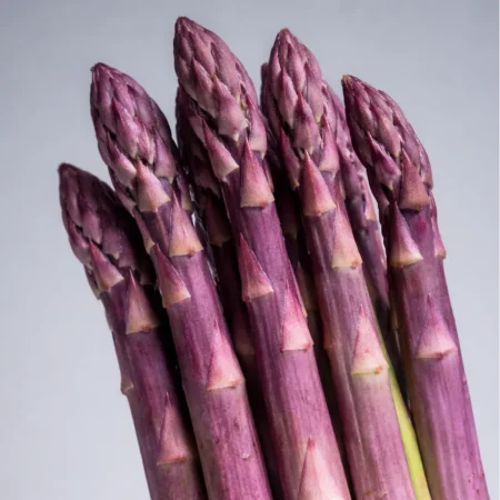 Hạt giống măng tây<br>tím Purple Passion F1