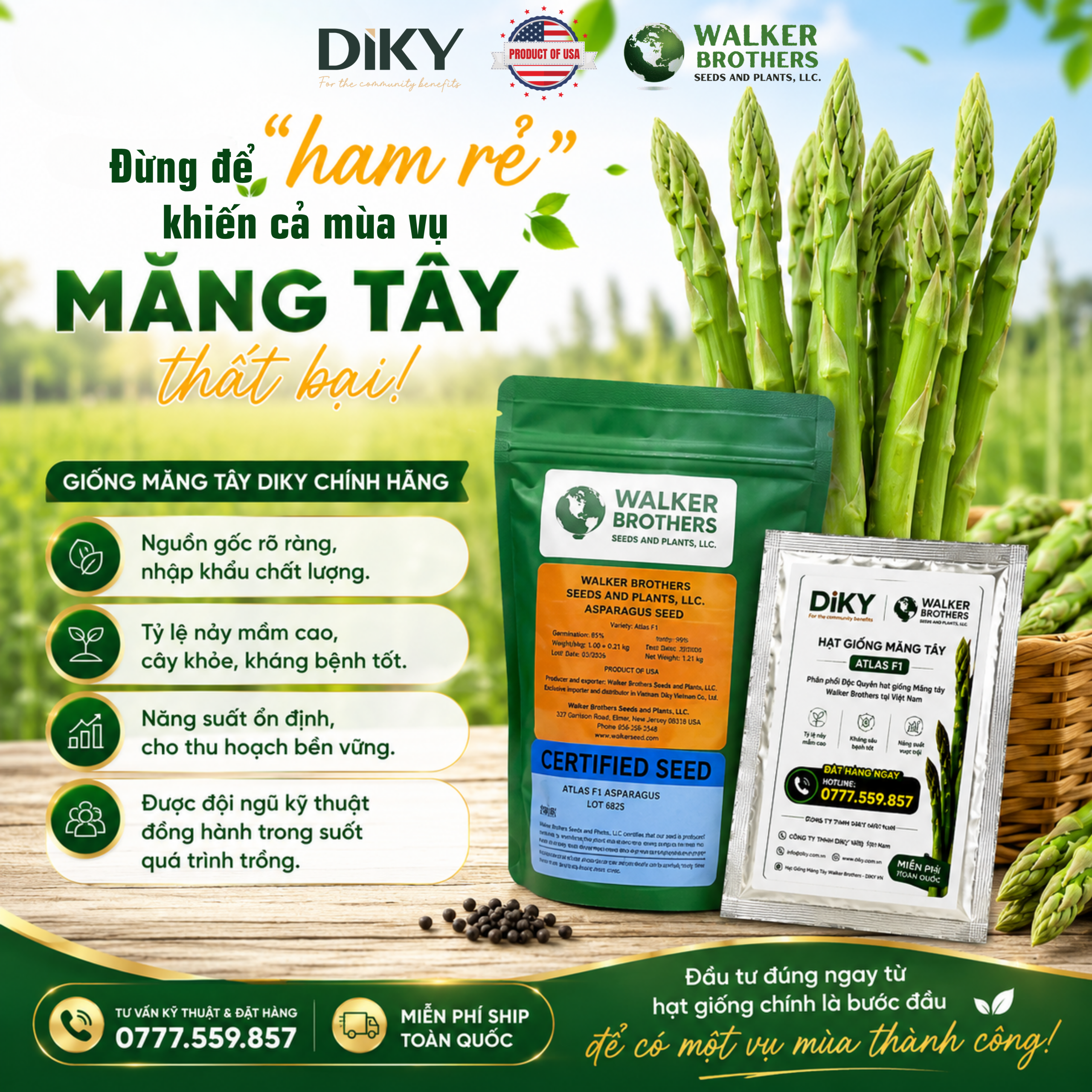 hạt giống măng tây f1