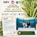 DIKY Có Phải Đại Lý Chính Hãng Walker Brothers?