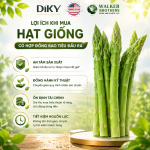 Bao Tiêu Đầu Ra Hạt Giống Hay Tự Tìm Thị Trường