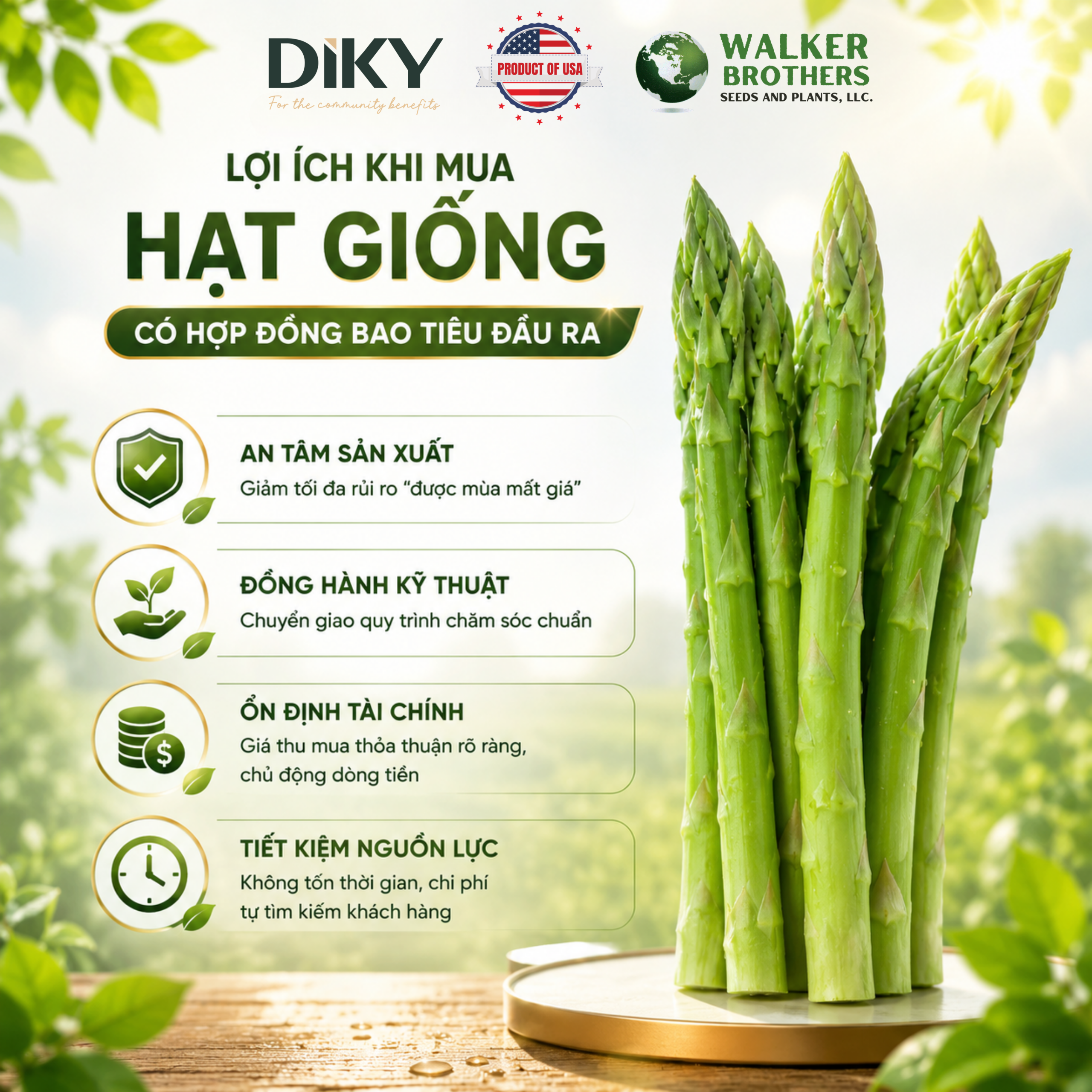 Bao Tiêu Đầu Ra Hạt Giống Hay Tự Tìm Thị Trường
