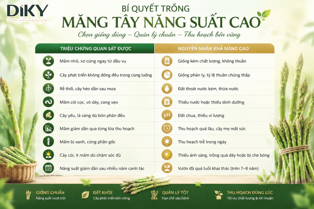 Bảng tổng hợp nhanh: Chẩn đoán nguyên nhân theo triệu chứng