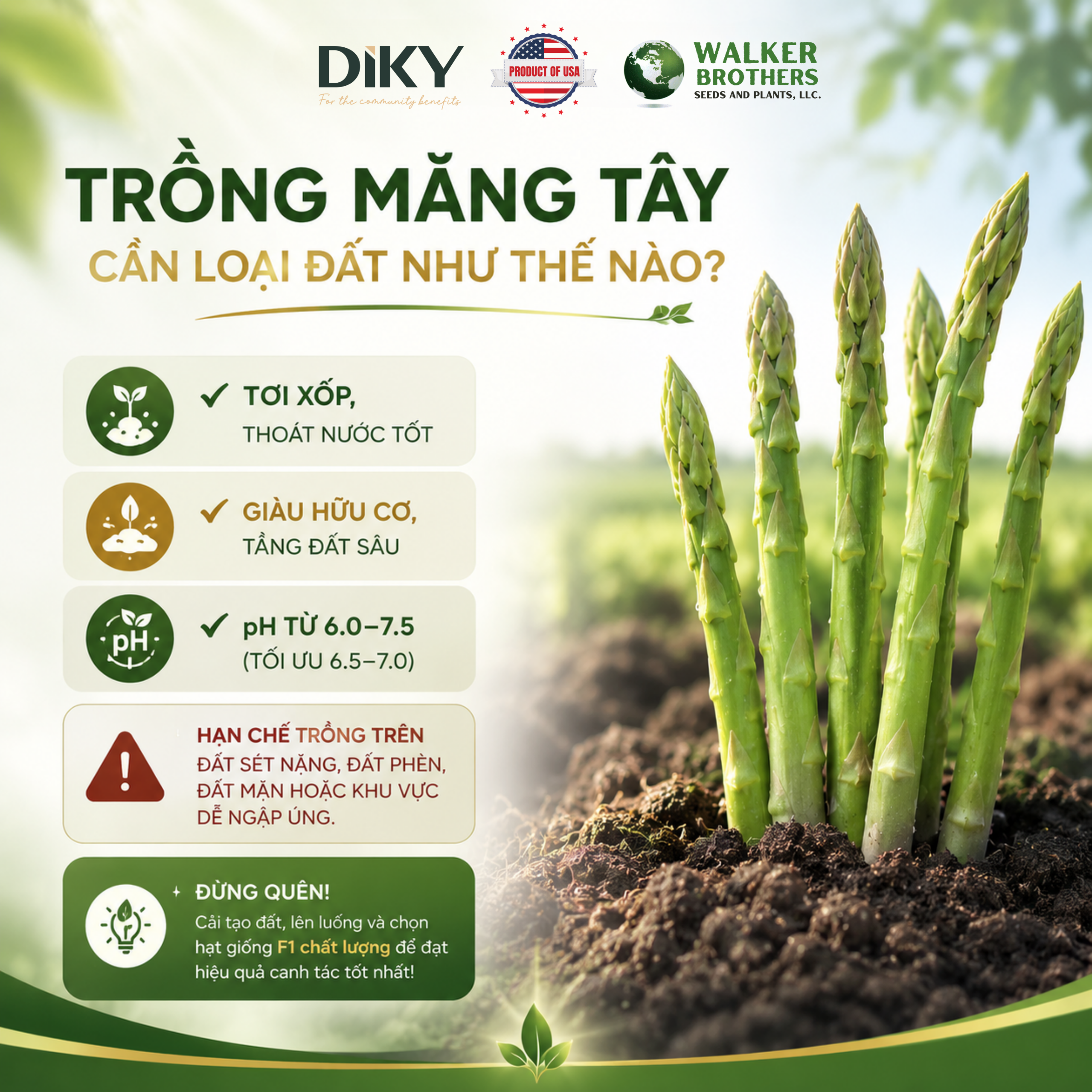 Trồng Măng Tây Cần Loại Đất Như Thế Nào?