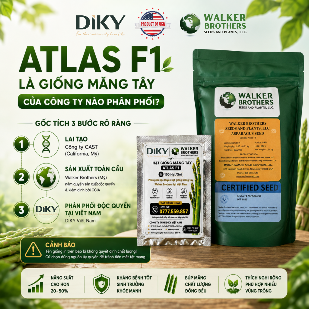 Atlas F1 Công Ty Nào Phân Phối?