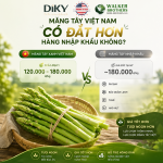 Măng Tây Việt Nam Có Đắt Hơn Hàng Nhập Khẩu Không?