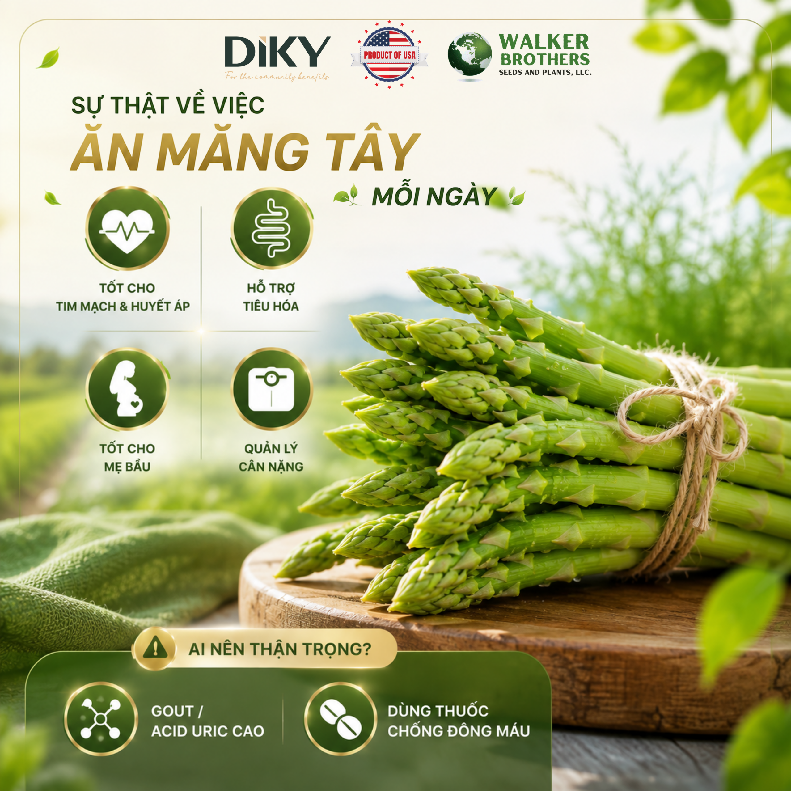 Sự Thật Về Việc Ăn Măng Tây Mỗi Ngày
