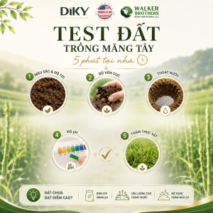 Đất Nhà Bạn Có Trồng Được Măng Tây Không? Test Nhanh 5 Phút