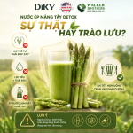 Nước Ép Măng Tây Detox: Sự Thật Hay Trào Lưu?