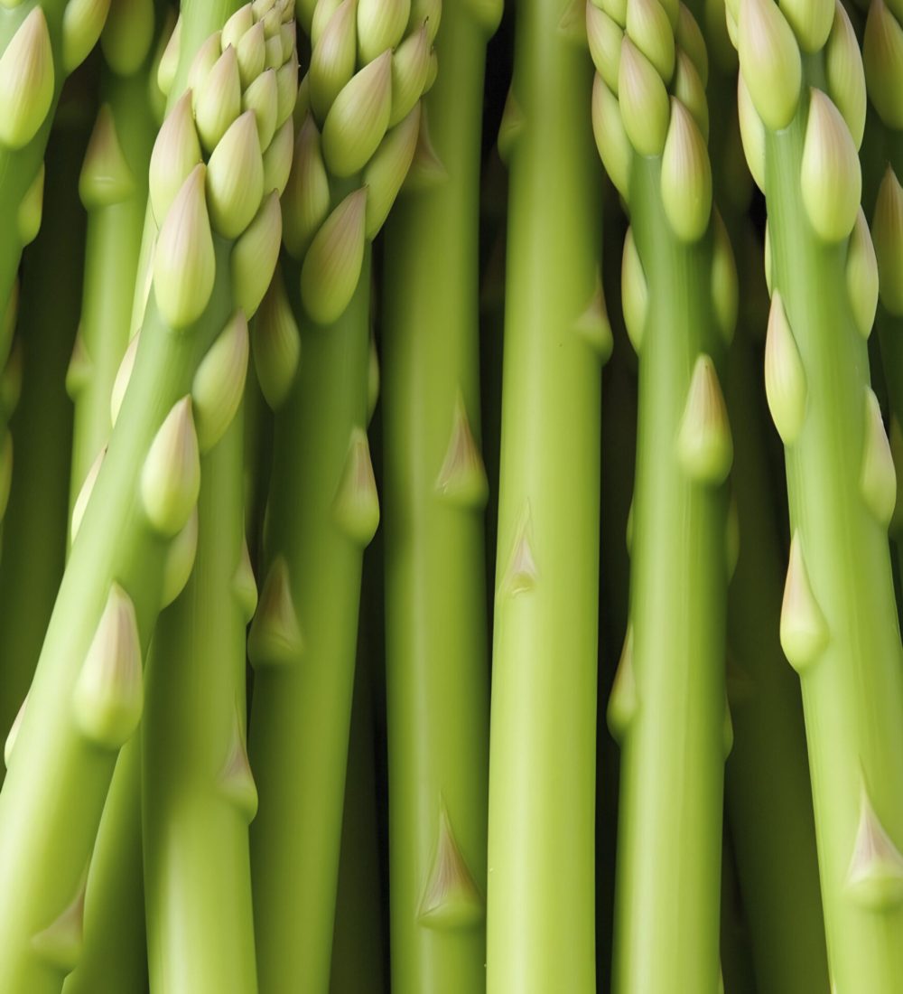 food-pattern-close-up-close